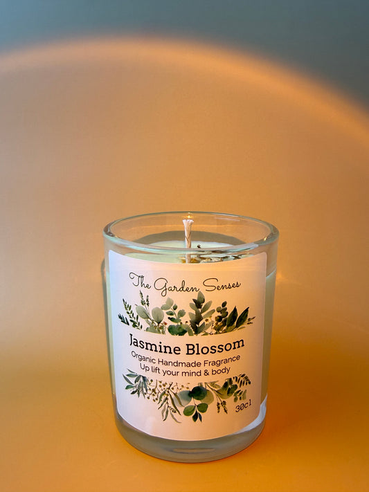 Jasmine Blossom