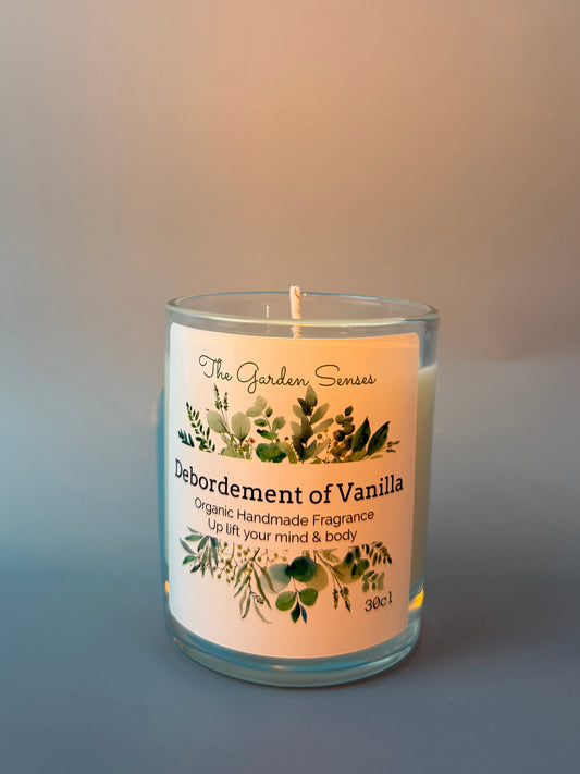 Vanilla Delight Soy Candle
